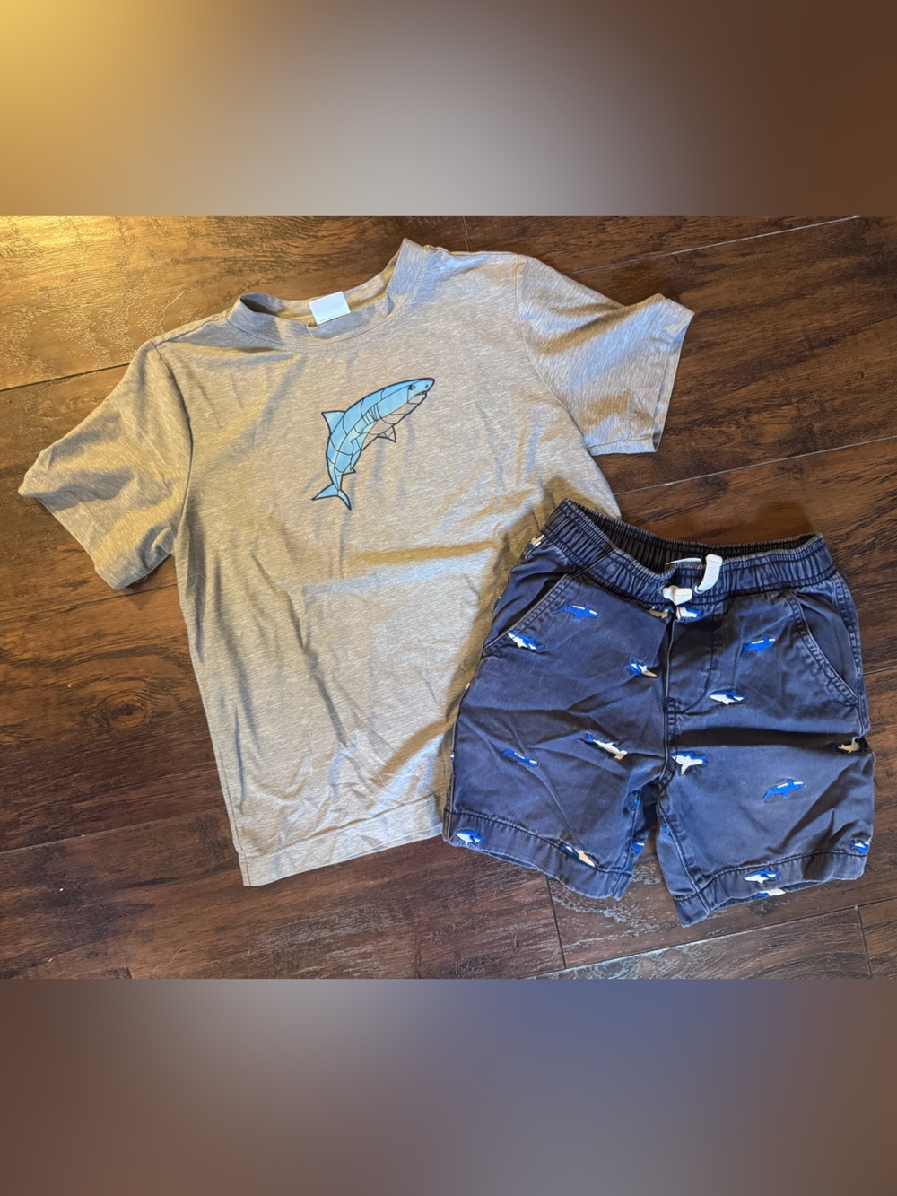 Hanna Andersson Gray Tee & Navy Shark Shorts